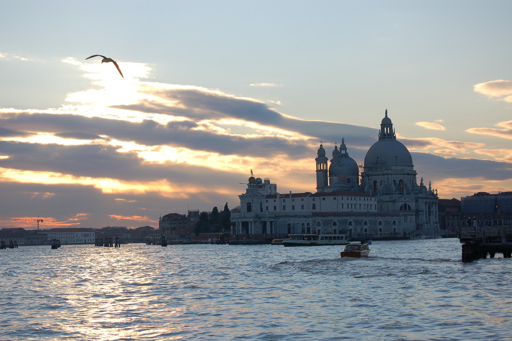 venise, punta della salute