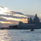 venise, punta della salute