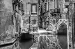 Venise pure 