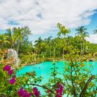 Venitian Pool in Coral Gables/Miami