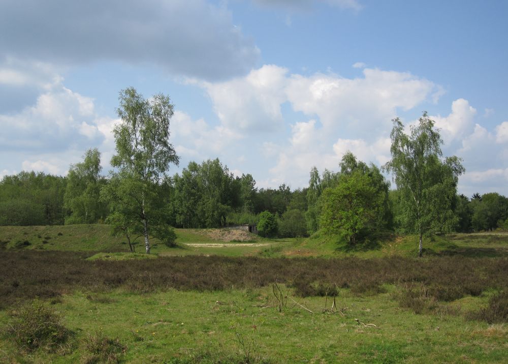 Venloer Heide