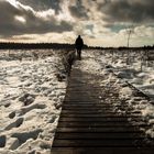 Venn im Schnee