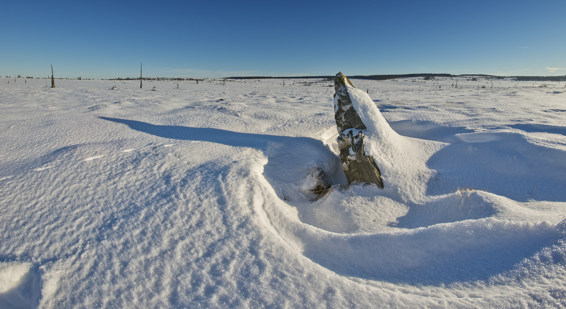 Venn im Winter