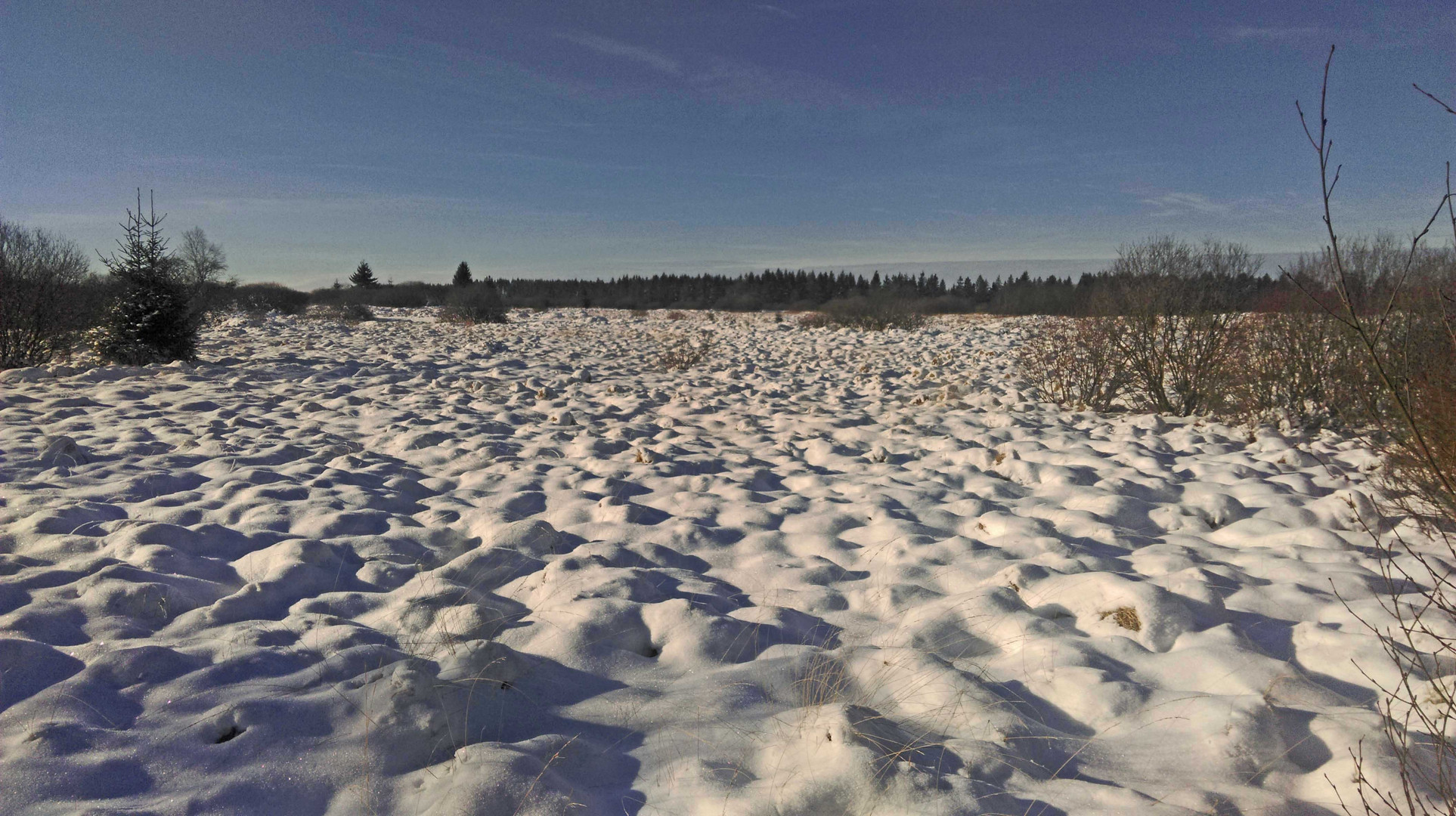 venn landschaft nordeifel  aachen