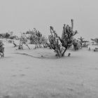 Venn Wanderung bei Schnee