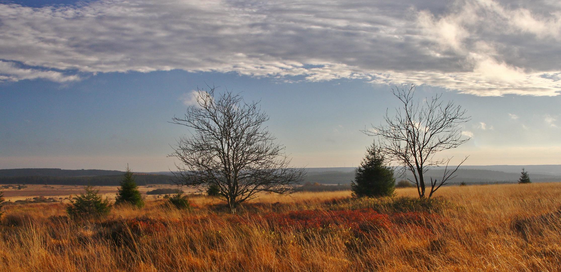 Vennblick