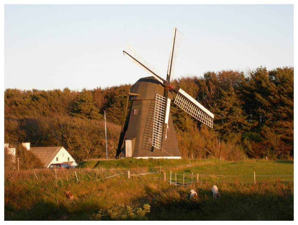 Vennebjergs Mühle .Im schönen herbstlichen Abendrot. Loenstrup/Nordjütland.