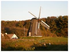 Vennebjergs Mühle .Im schönen herbstlichen Abendrot. Loenstrup/Nordjütland.