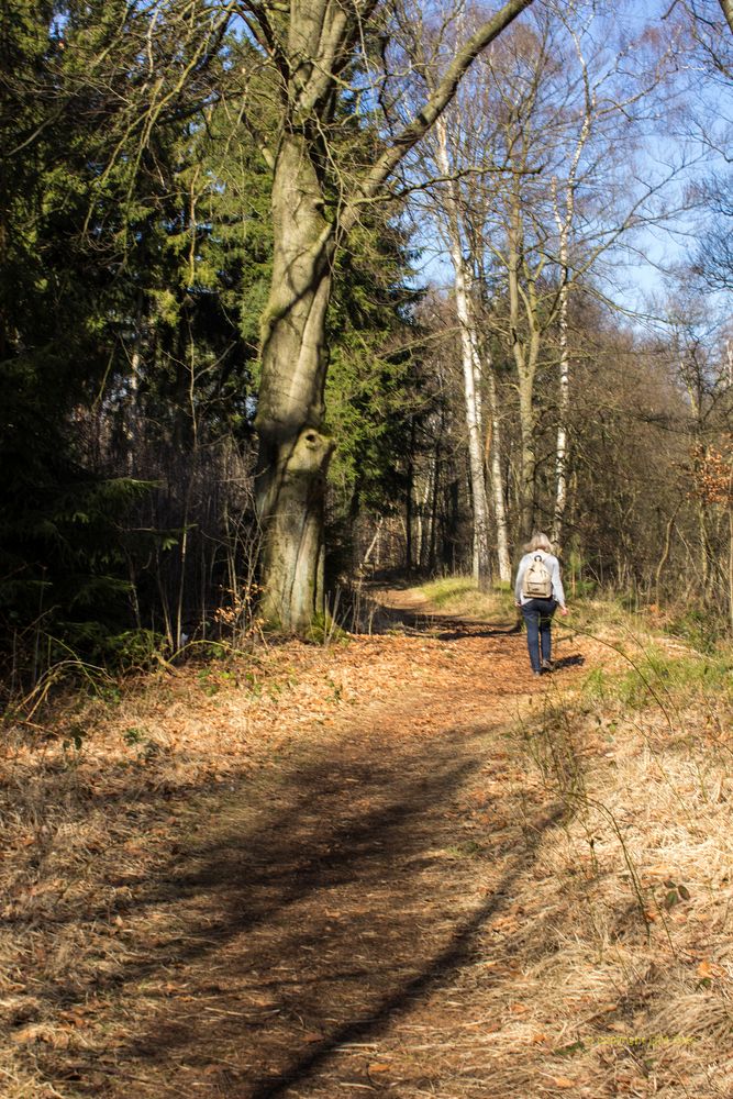 Venner Moor 03