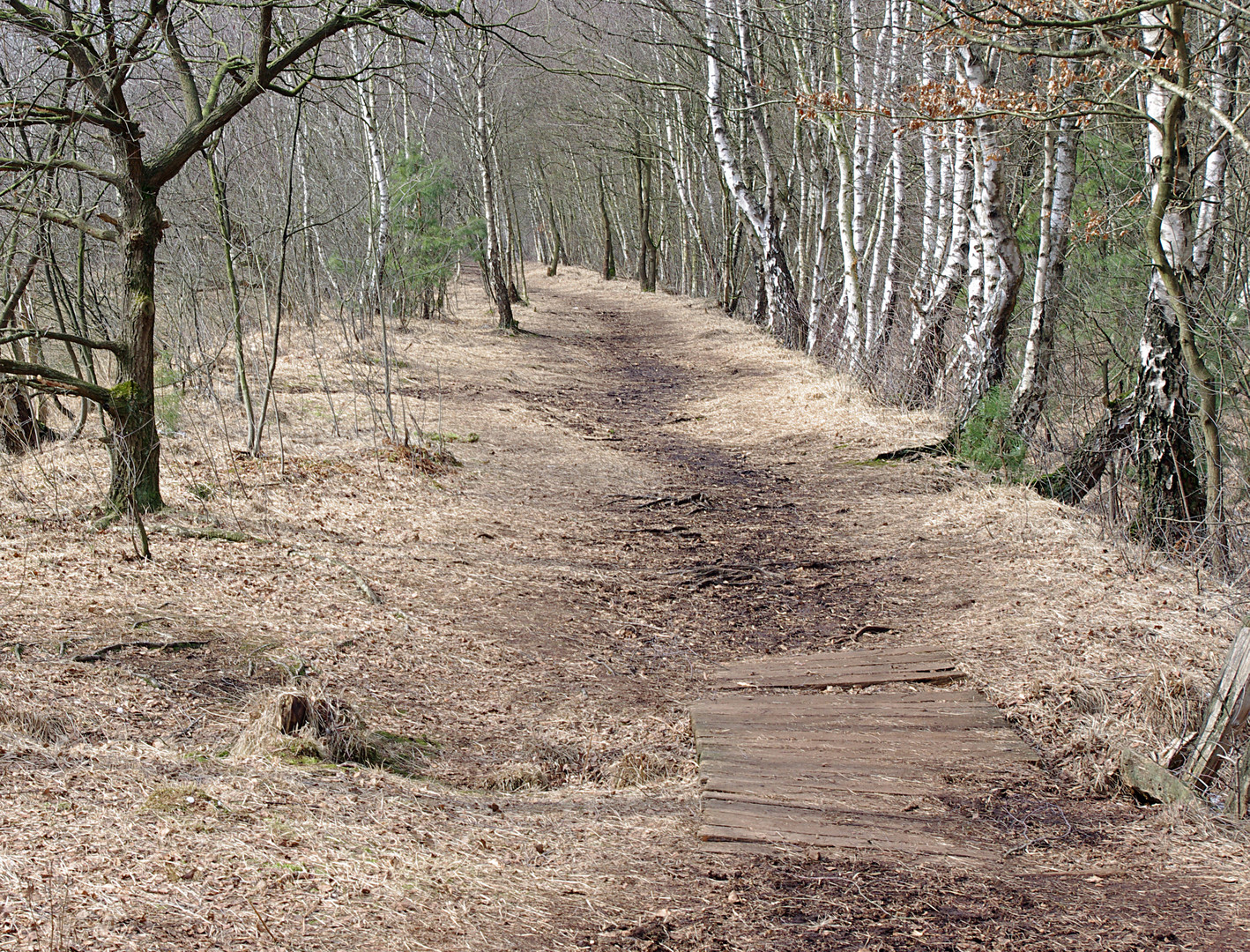 Venner Moor # 1