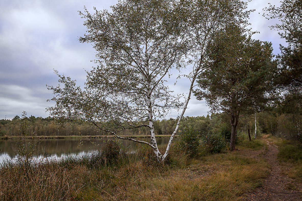 VENNER MOOR