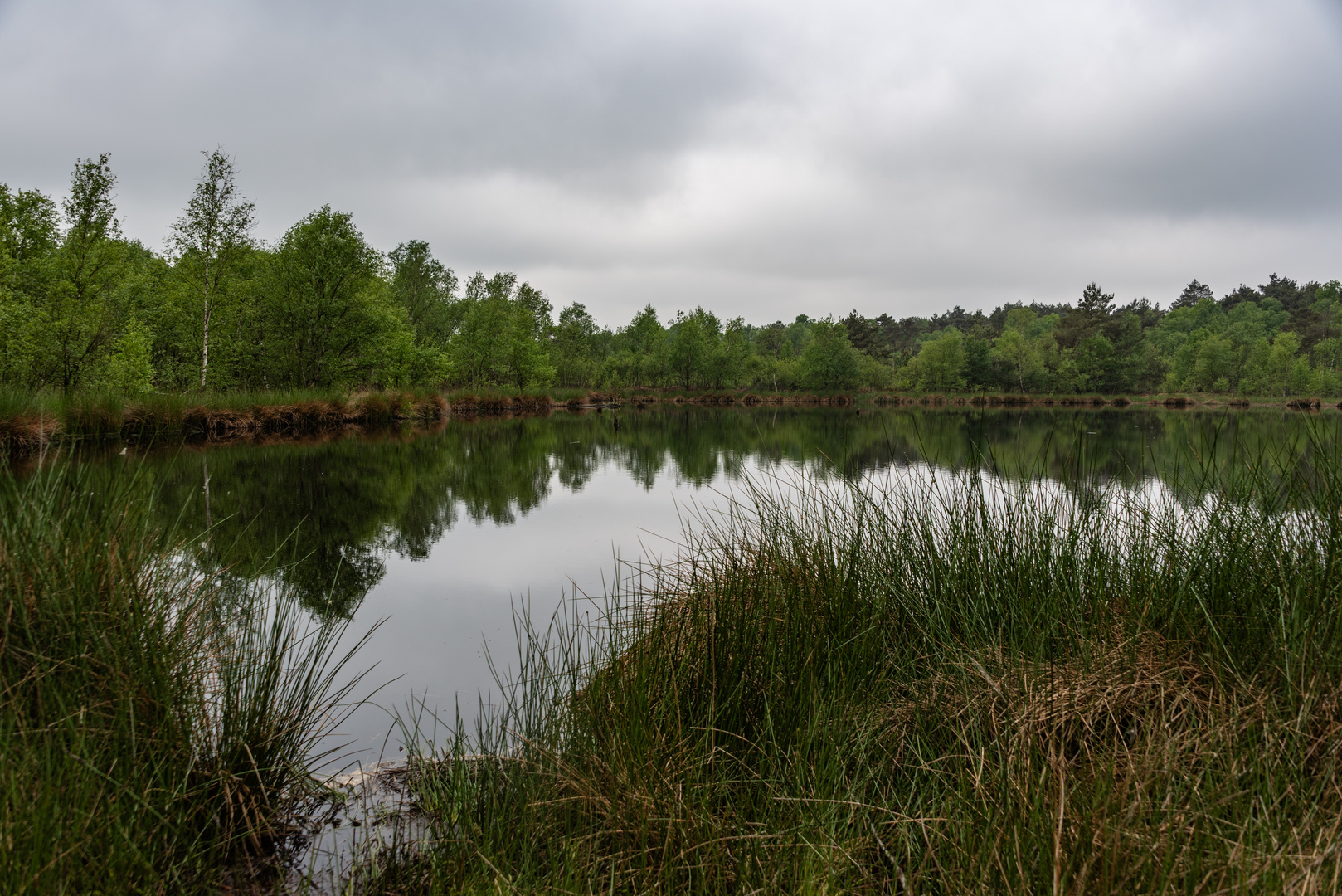 Venner Moor