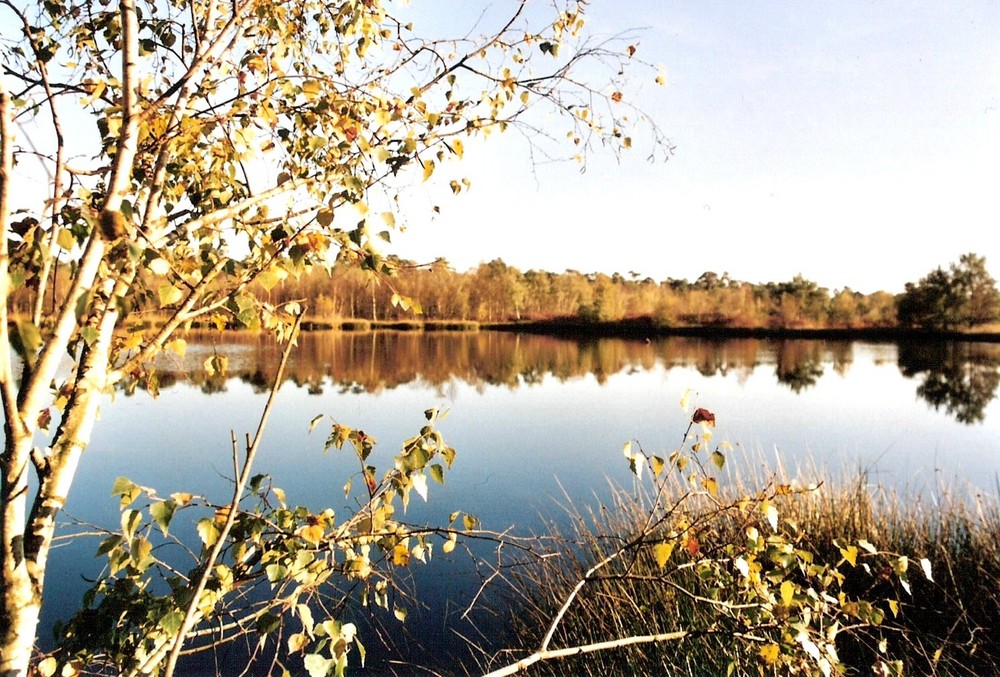 Venner Moor bei Münster