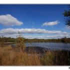 ~ Venner Moor II ~