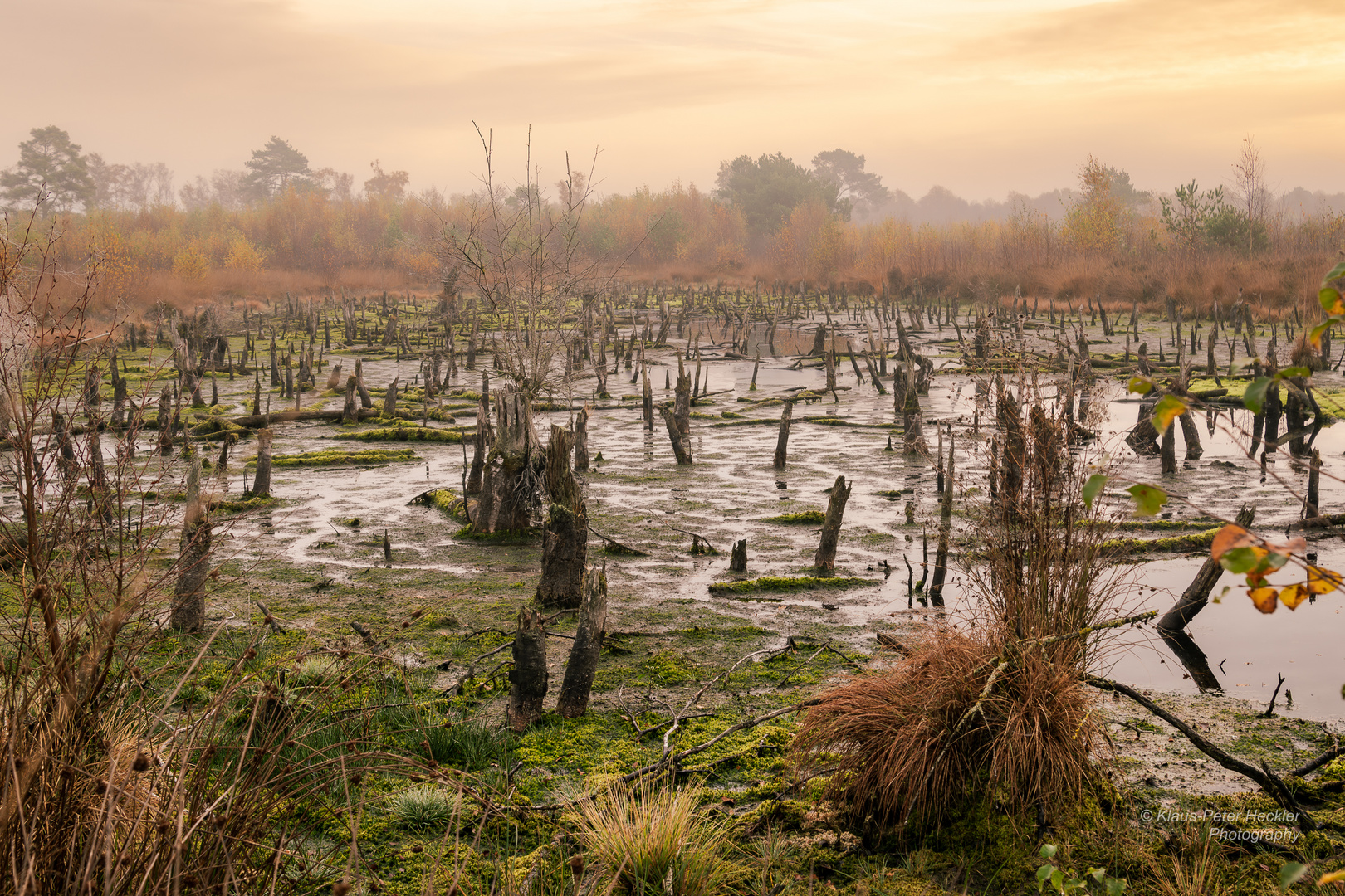 Venner Moor im Herbst 