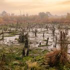 Venner Moor im Herbst 