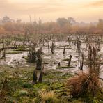 Venner Moor im Herbst 