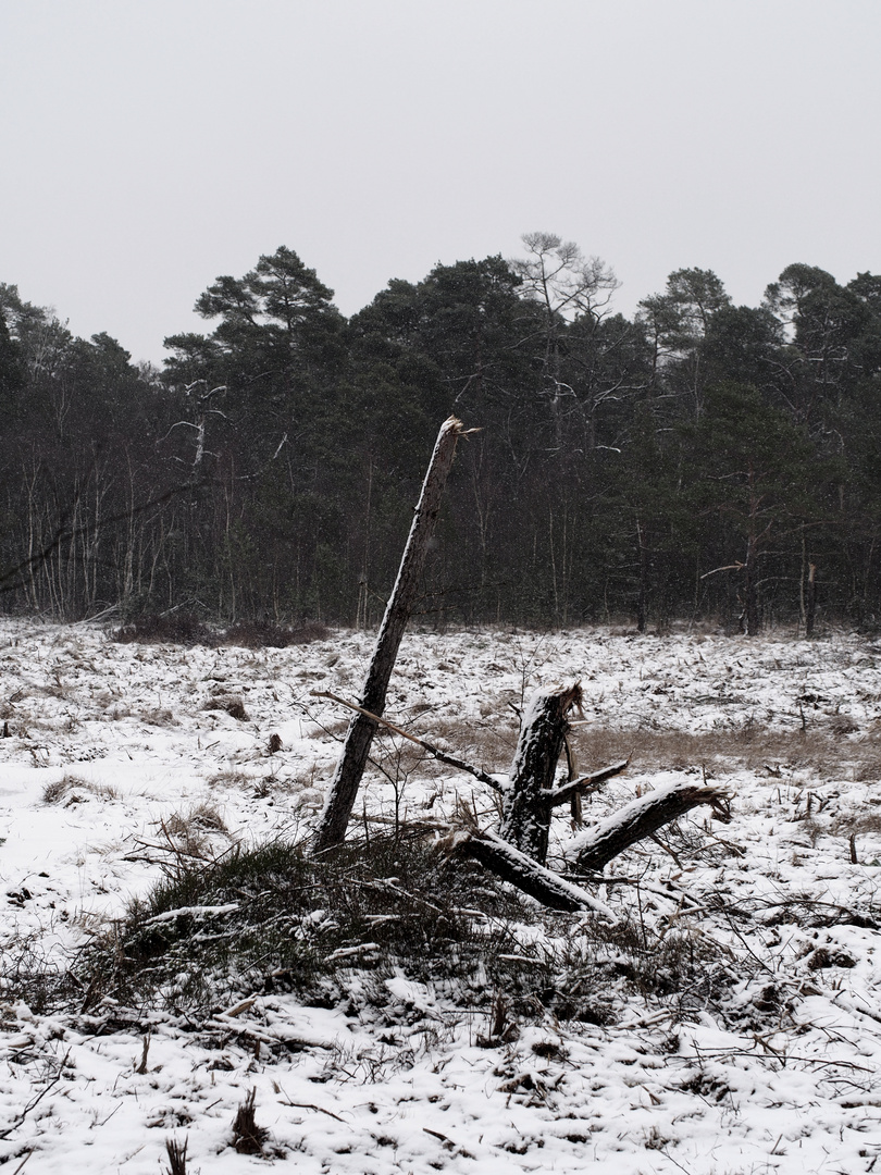 Venner Moor im Winter