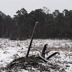 Venner Moor im Winter