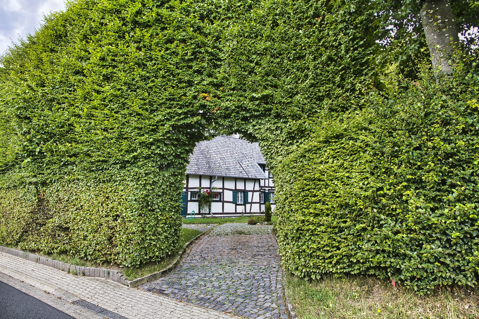 Vennhof hinter schützender Buchenhecke in der Eifel