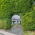 Vennhof hinter schützender Buchenhecke in der Eifel