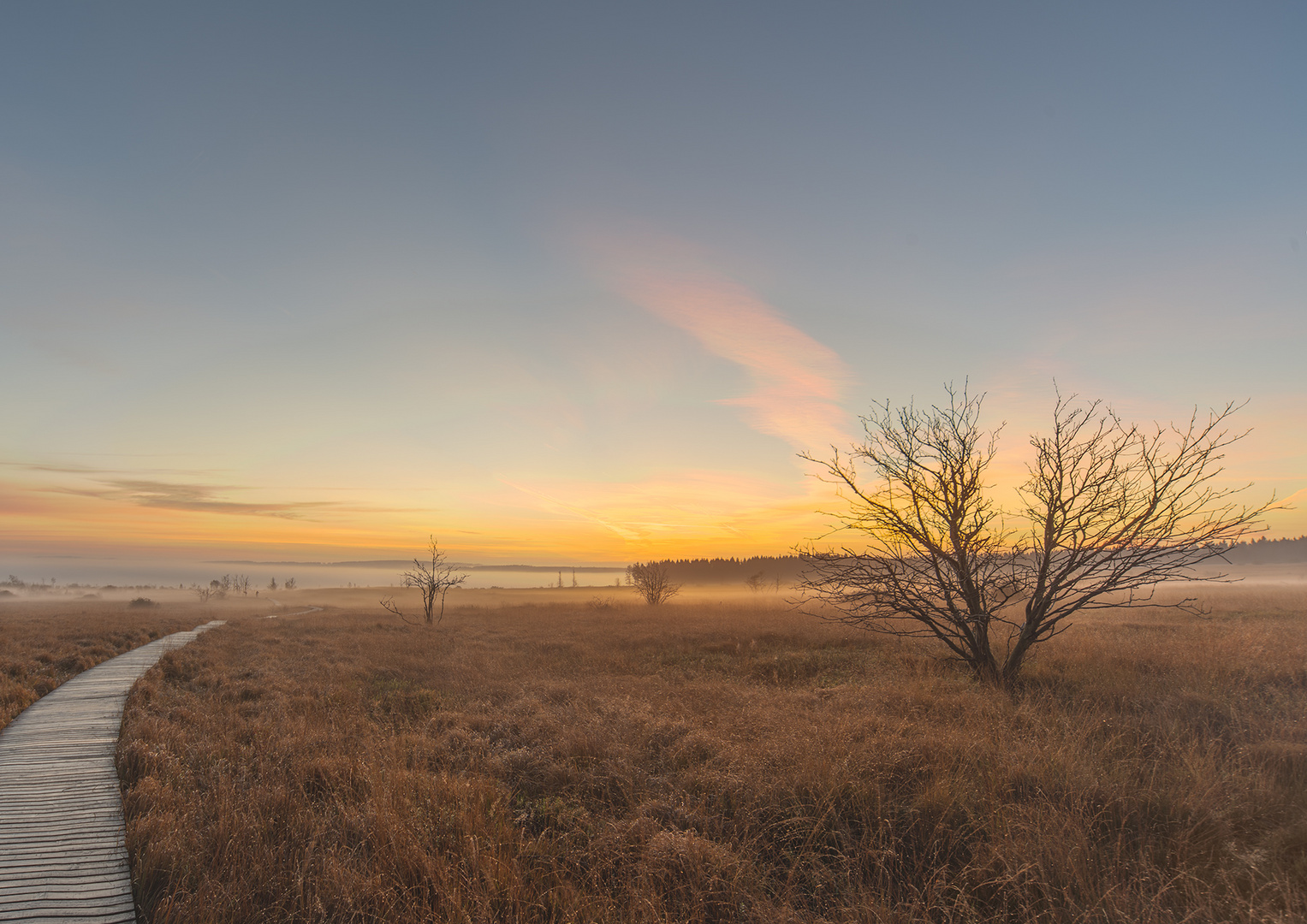 Vennlandschaft