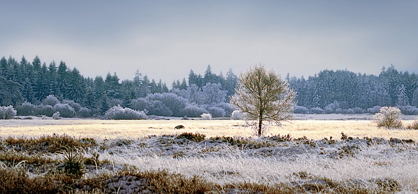 Vennlandschaft