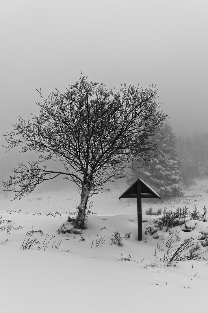 Vennlandschaft im Schnee