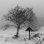 Vennlandschaft im Schnee