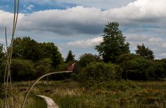 vennNaturpark Hohes Venn-Eifel.2