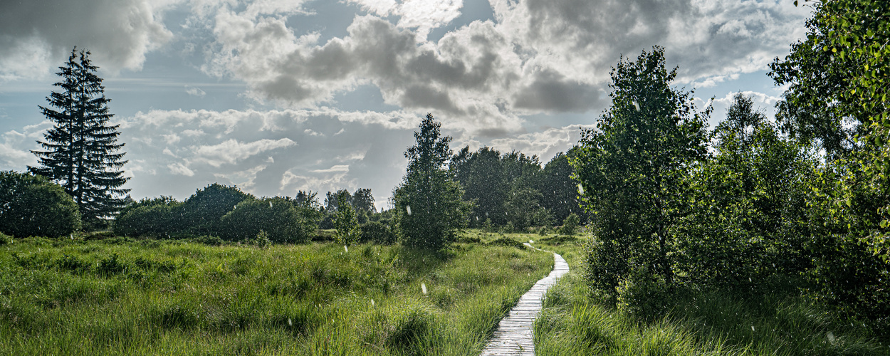 Vennregen_DSC0945520200628