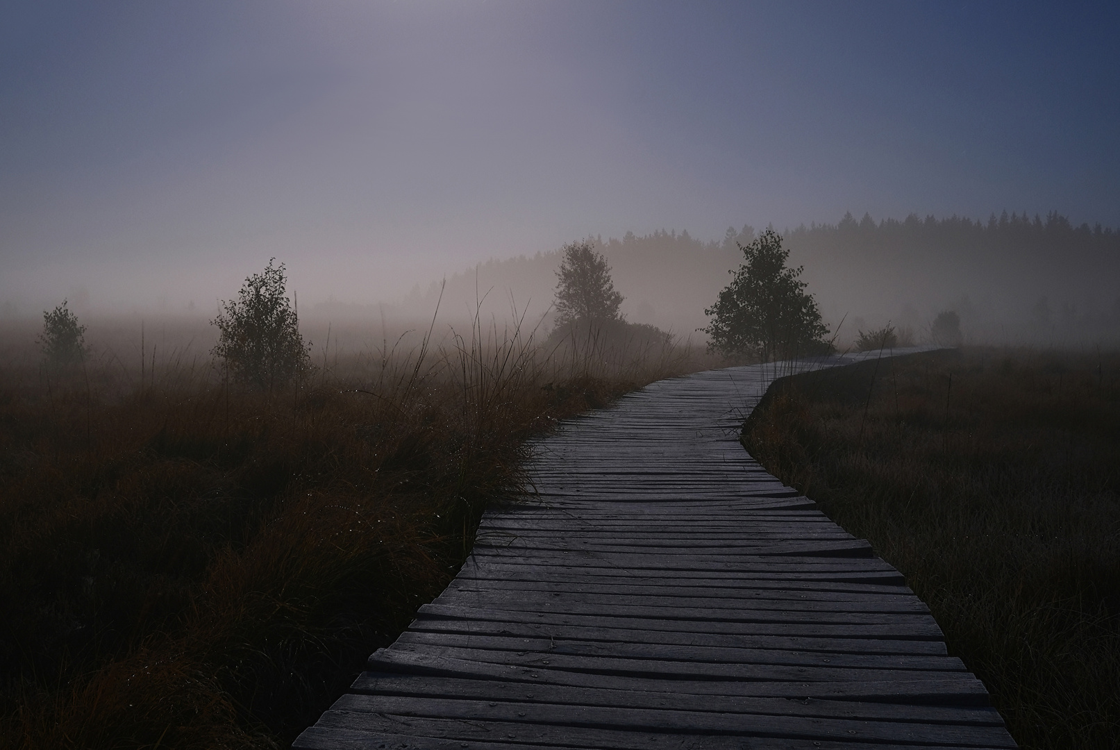 Vennspaziergang im Mondenschein