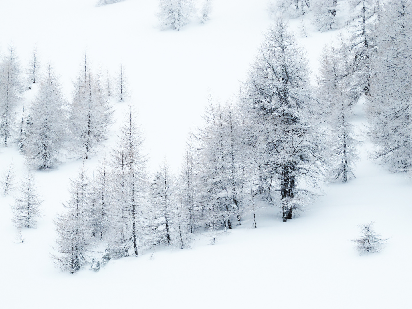 Vennspitze - Skitour - Winterwonderland