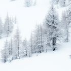Vennspitze - Skitour - Winterwonderland