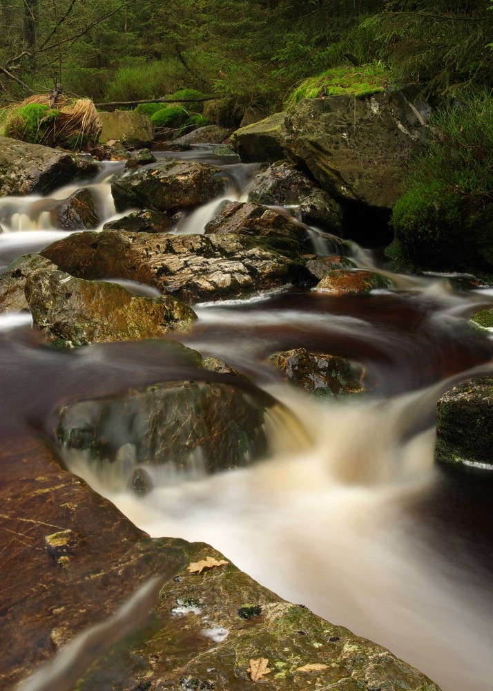 Vennwasser