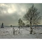 VennWinter (3)