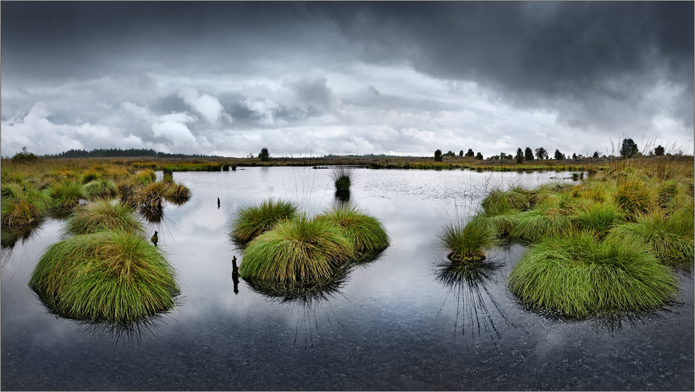 Venn~Wolken