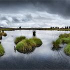 Venn~Wolken