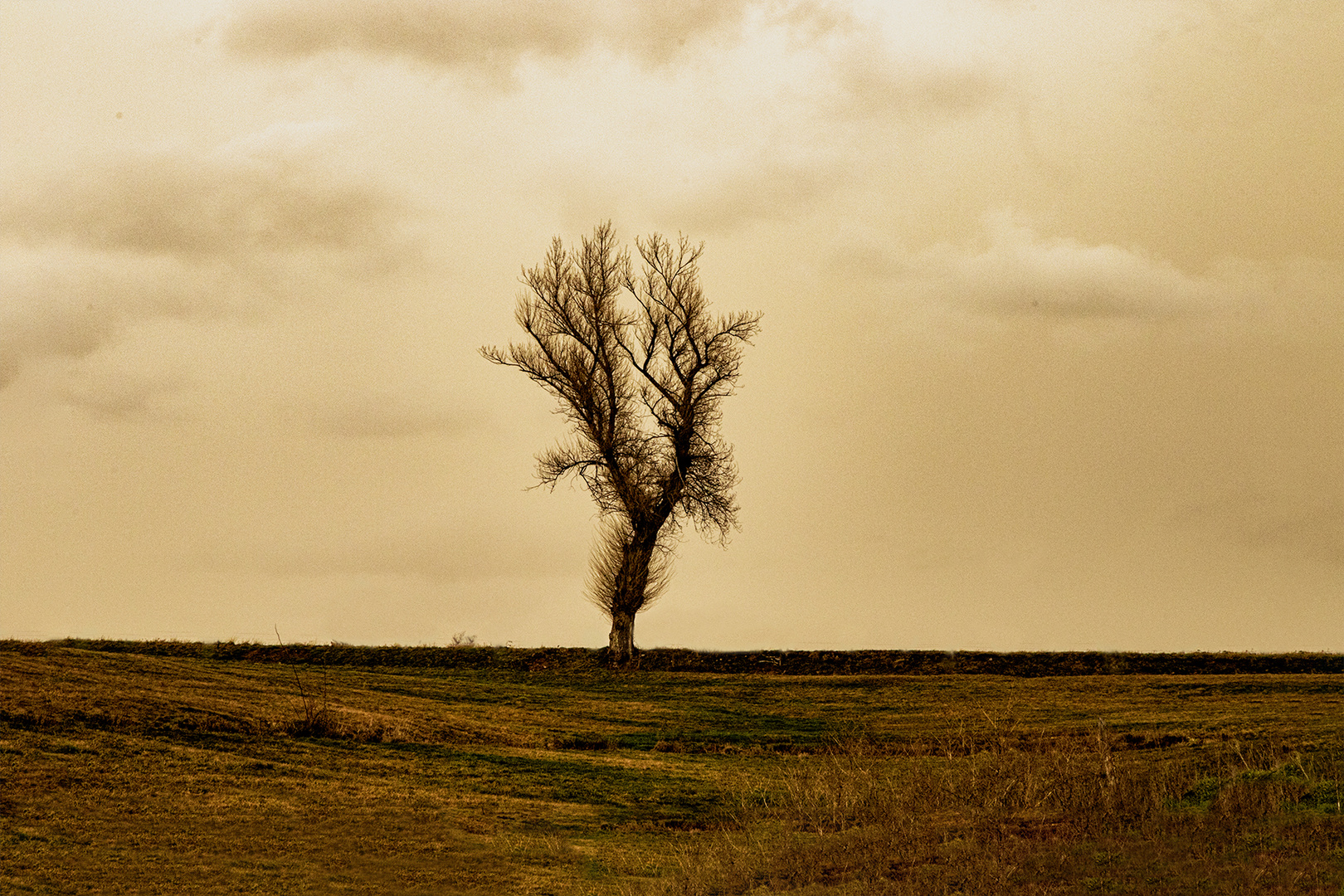 Vent du Sahara