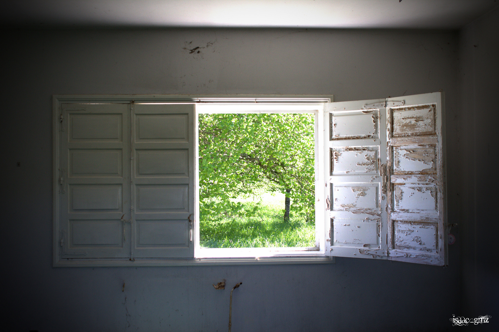 Ventana a la Libertad