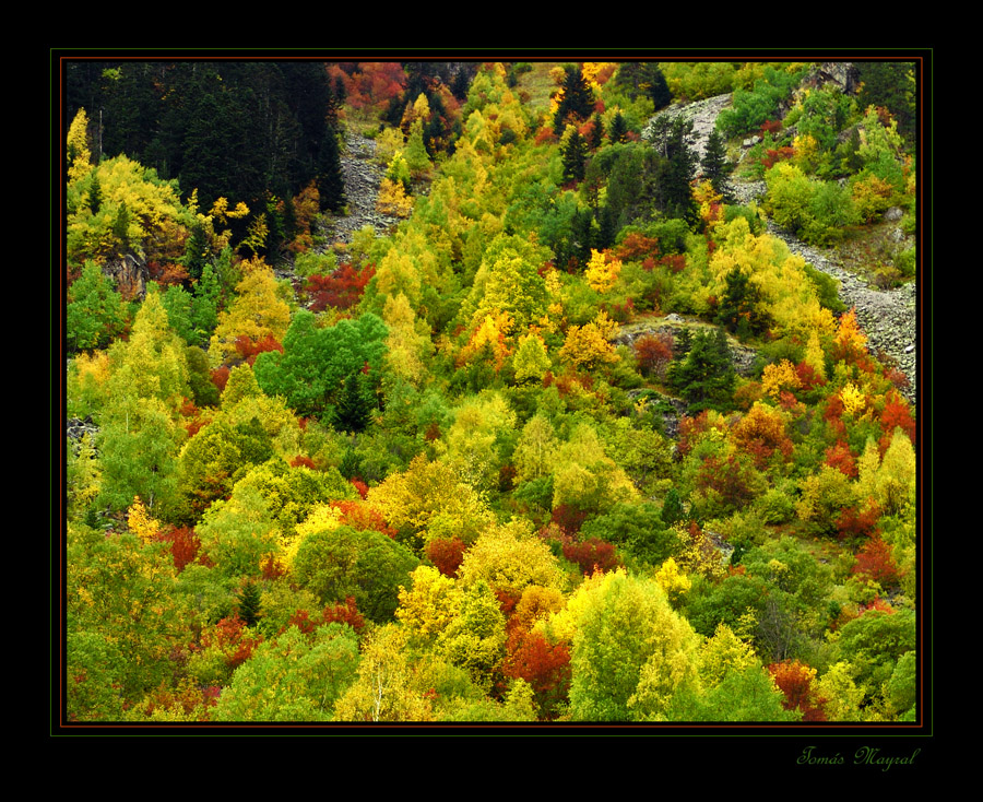 Ventana al Otoño