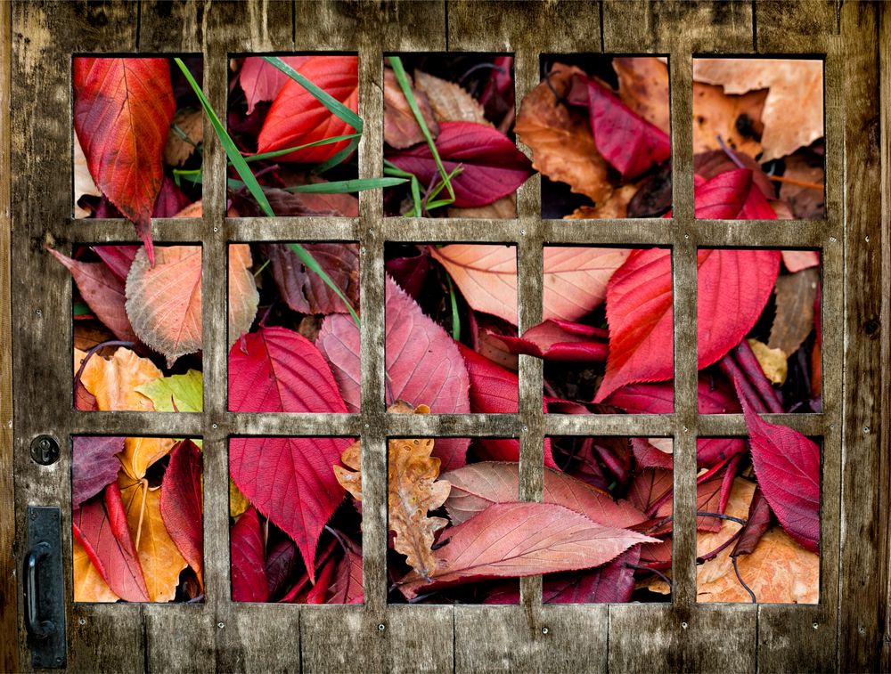 ventana al otoño