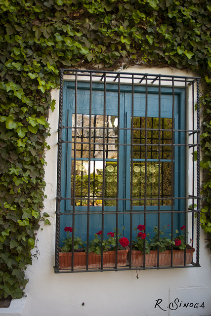 Ventana azul