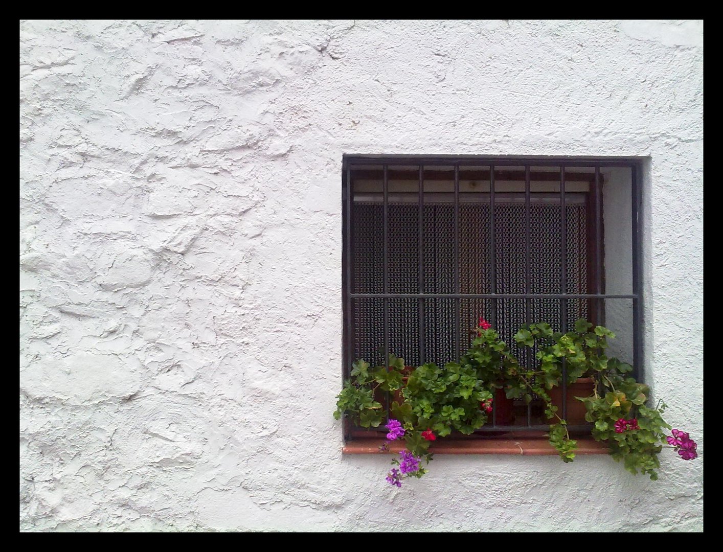 Ventana con flores