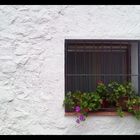 Ventana con flores