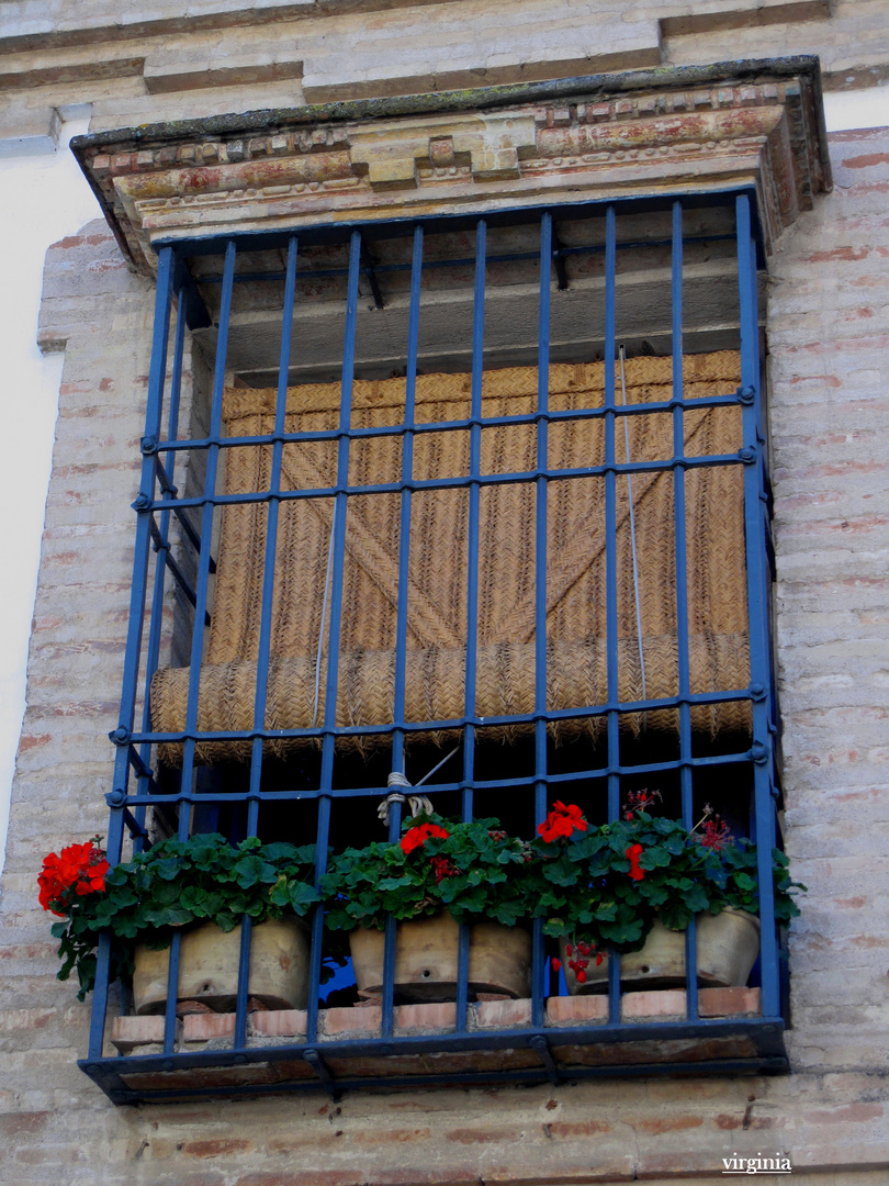 VENTANA CORDOBESA