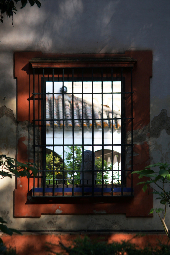 ventana del pabellón del león