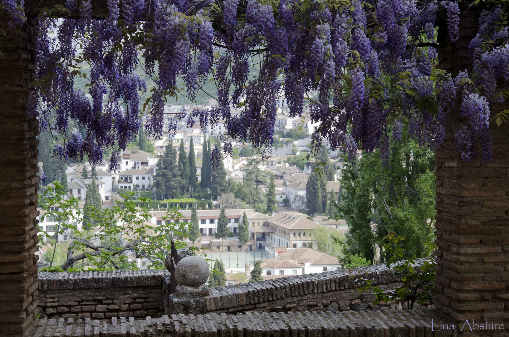 Ventana desde la Alhambra acompañadas de Glicinias.