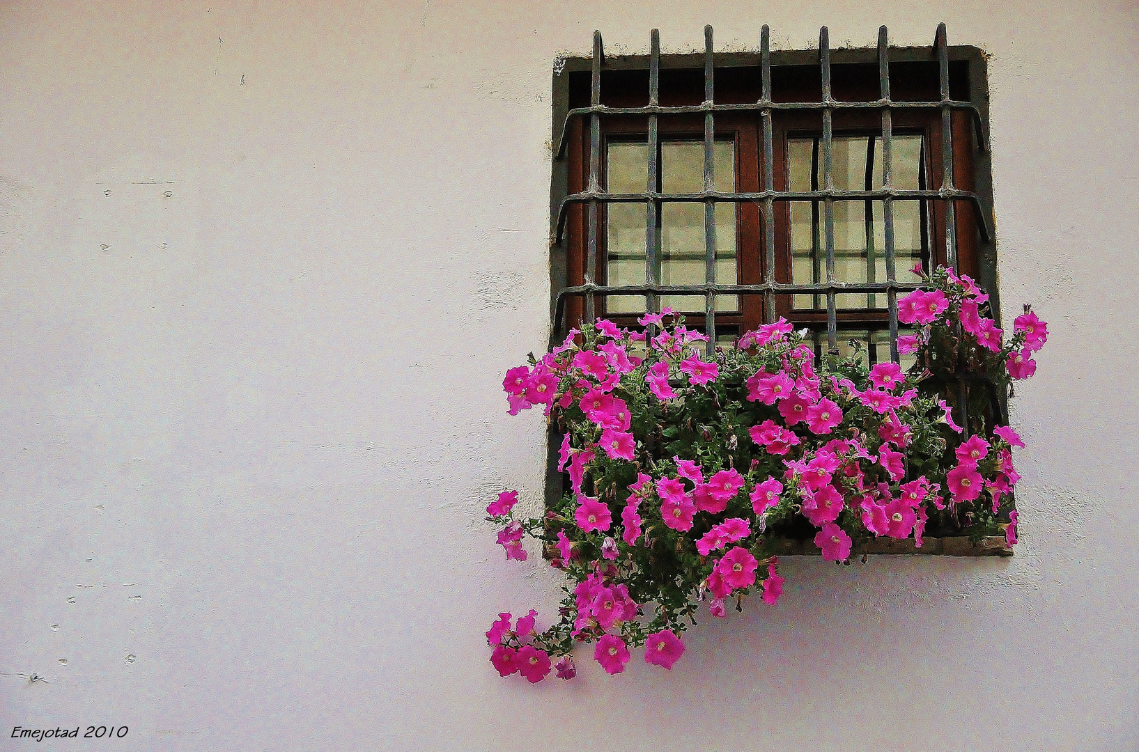 ventana en flor