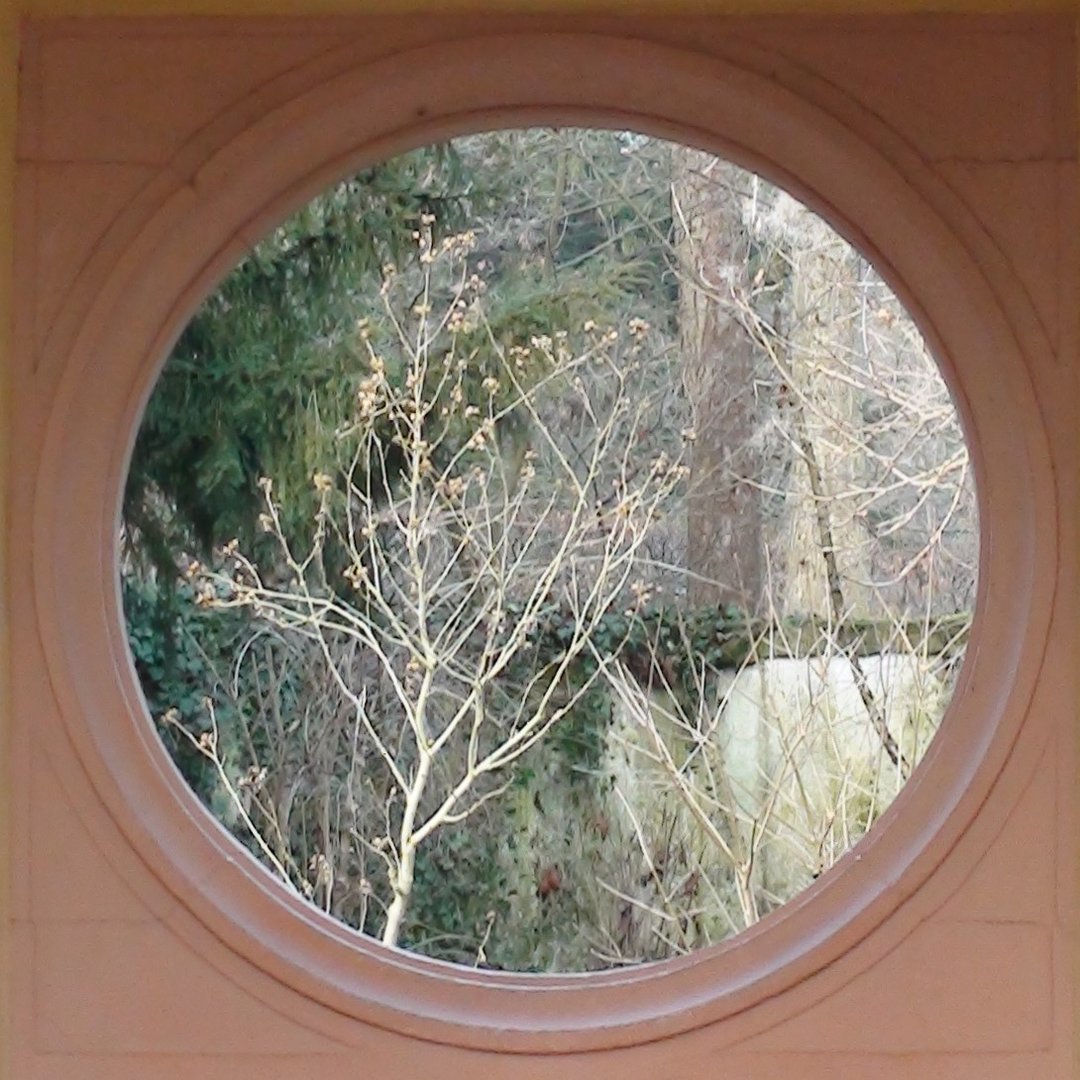 Ventana en la mezquita